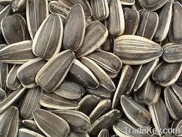 sunflower seeds