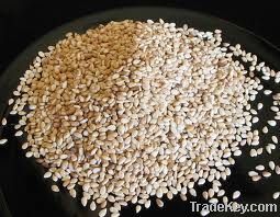 sesame seeds