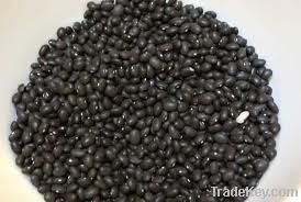 black kidney beans