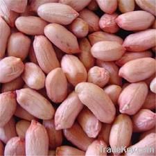 raw peanuts