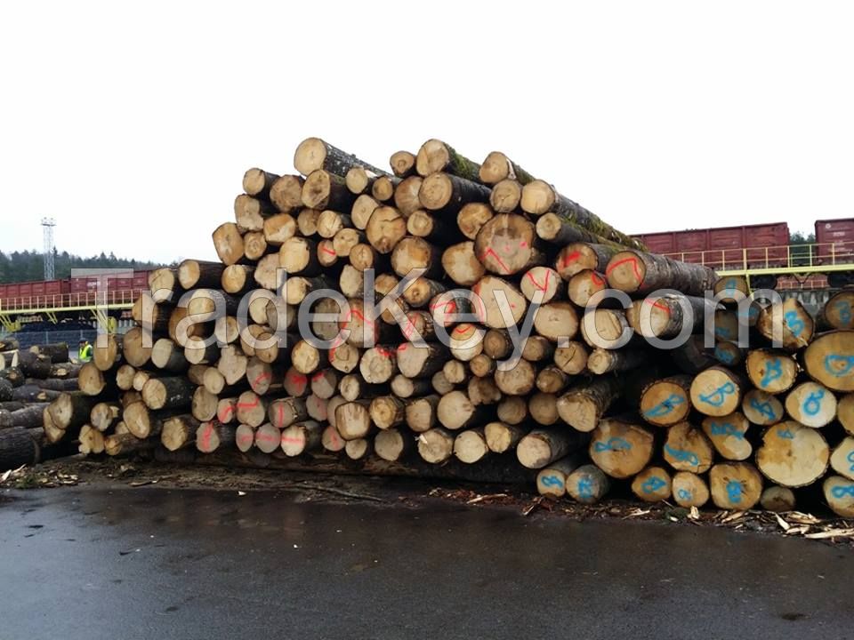 Birch Logs, Poplar,Pine,Spruce,Ash