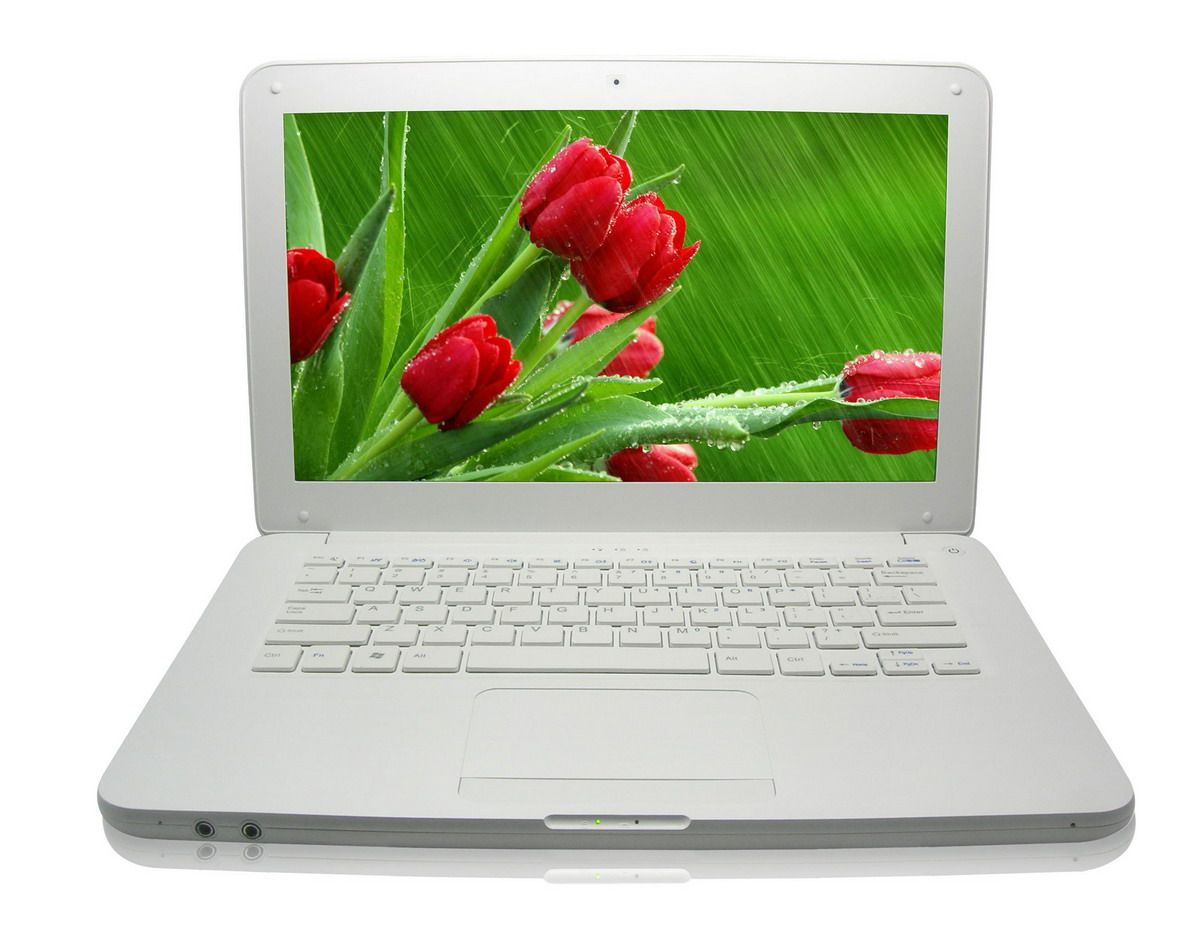 13.3?? Win7 1366*768 Laptop PC,CPU D525 Dual Core 1.86GHz+2g DDR3+250g HD,Camera,Bt,Slot-Loading DVD-ROM