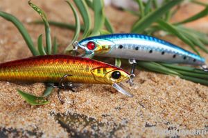 minnow plastic hard fishing lure