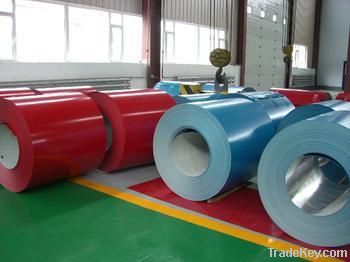 Prepainted Galvanized Steel