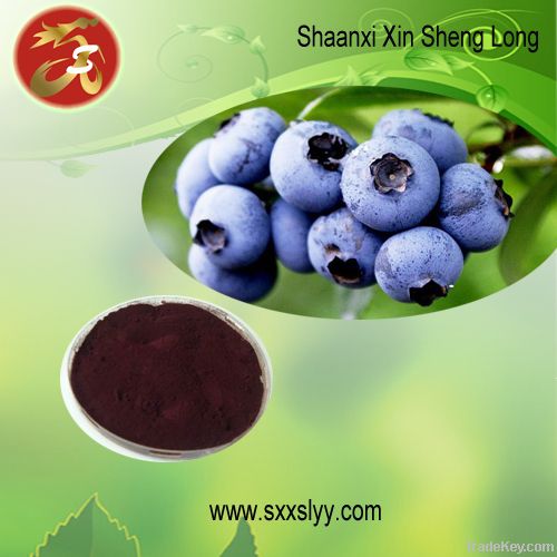 Blueberry extract