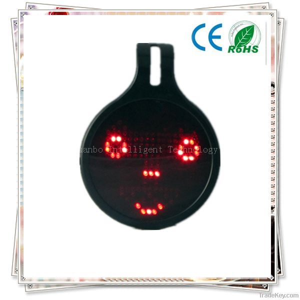 led Christmas gift for car owner 2013