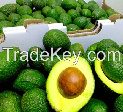 Fresh Hass Avocados