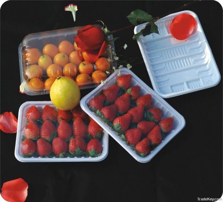 plastic fruit box&amp;tray packing