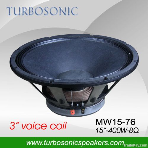 15&quot; Woofer PA Loudspeaker Indoor/Outdoor speaker system