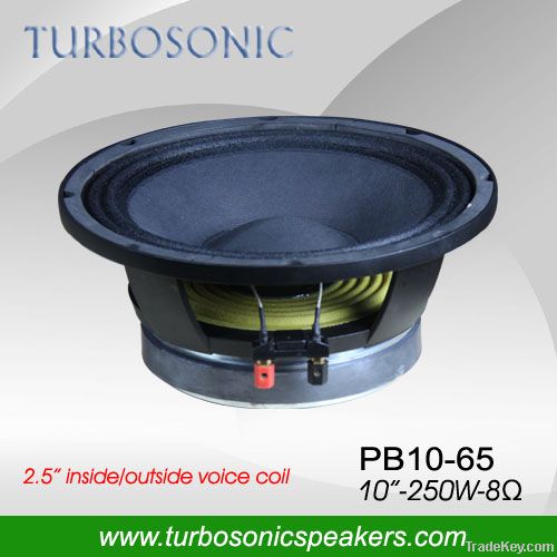 Low price 10&quot; woofer pa speaker for Outdoor/stage/ pa sysytem