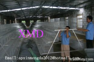 A and H type poultry Chicken cage