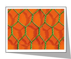 Hexagonal Wire Netting