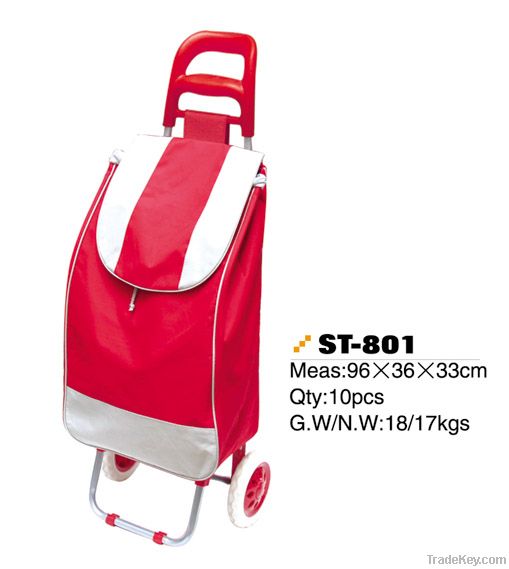 Flodable shopping trolley bag on wheels