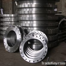 Flange