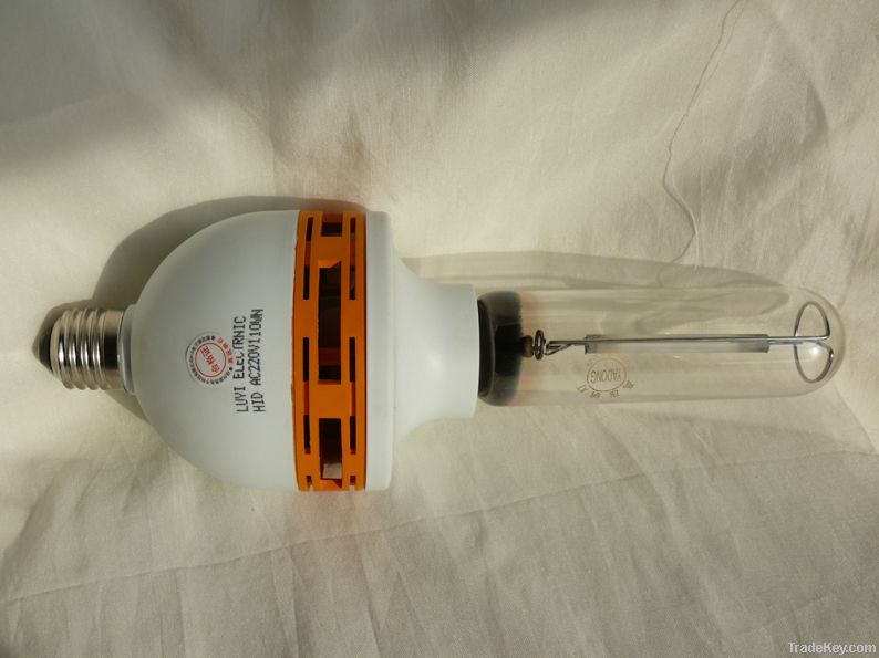 Integrated HPS lamp