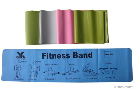 Fitness Band