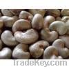 Cheap Cashew Nut | Wholesale Cashew Nut | Discounted Cashew Nut | Bulk Cashew Nut | Cashew Nut Suppliers | Cashew Nut Exporters | Cashew Nut Manufacturers | Cashew Nut Buyer | Import Cashew Nut