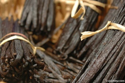 Madagascar Vanilla Beans