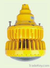 EXPLOSION PROOF LIGHT