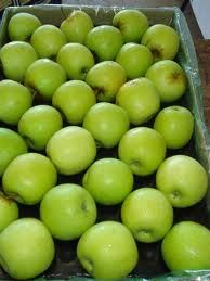 gala apples