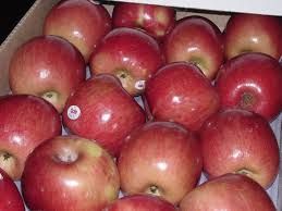 we offer the best fresh fuji apples 