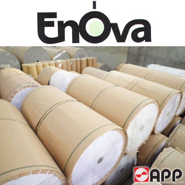 Coated paper Enova (APP)