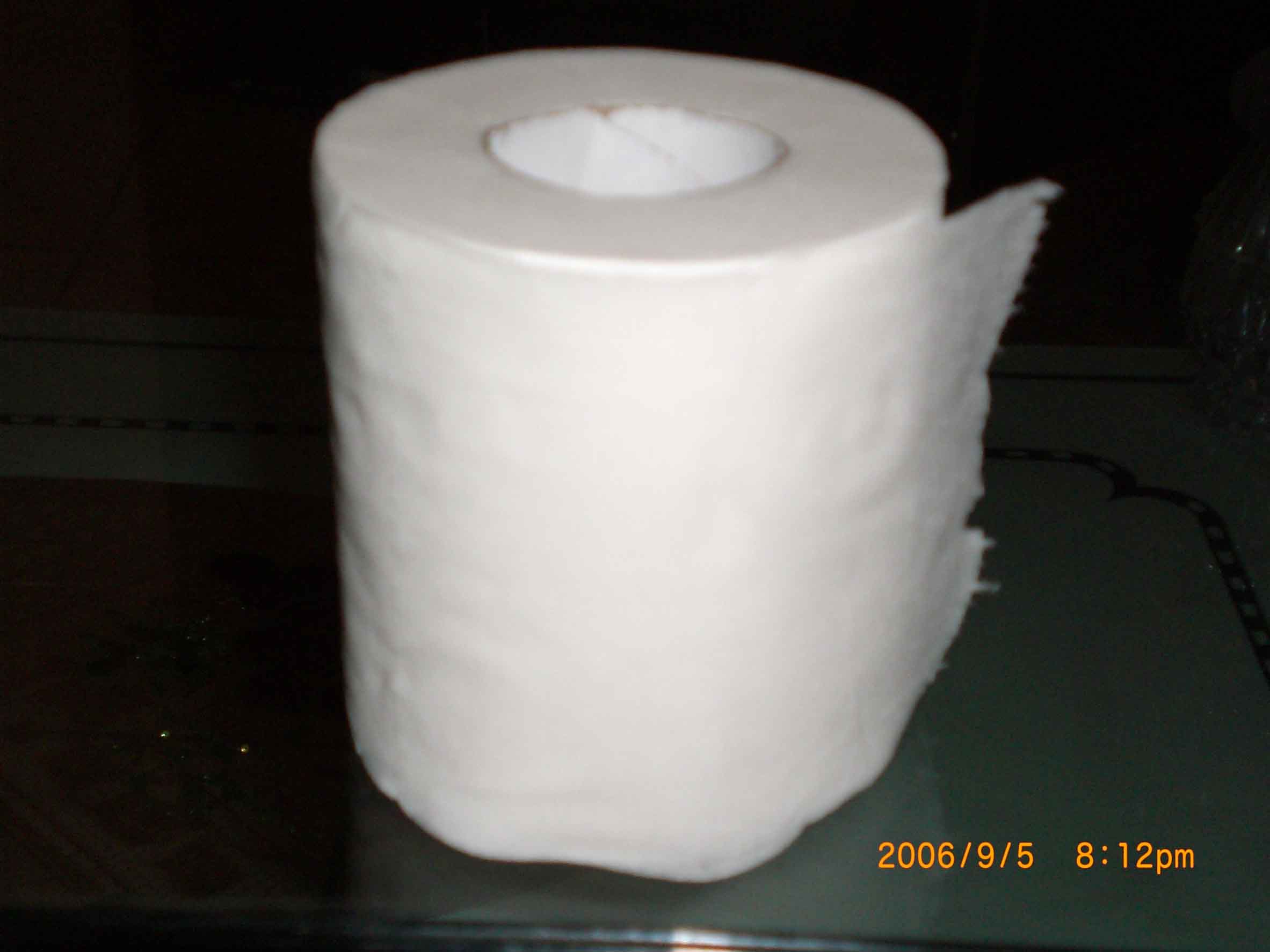 Toilet Paper