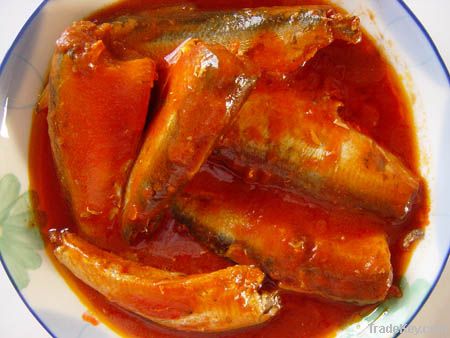 SARDINE IN tomato sauce