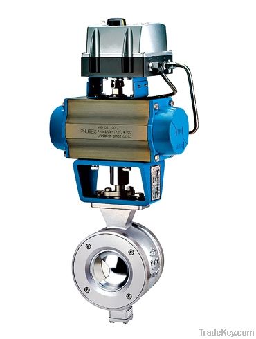 Segment Ball Valve