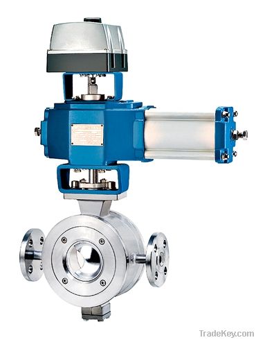 Segment Ball Valve