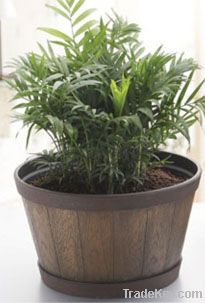 wood-like plastic planter&pot, nursery pot, garden pot