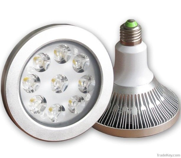 LED Par30, Par38 Waterproof light IP65