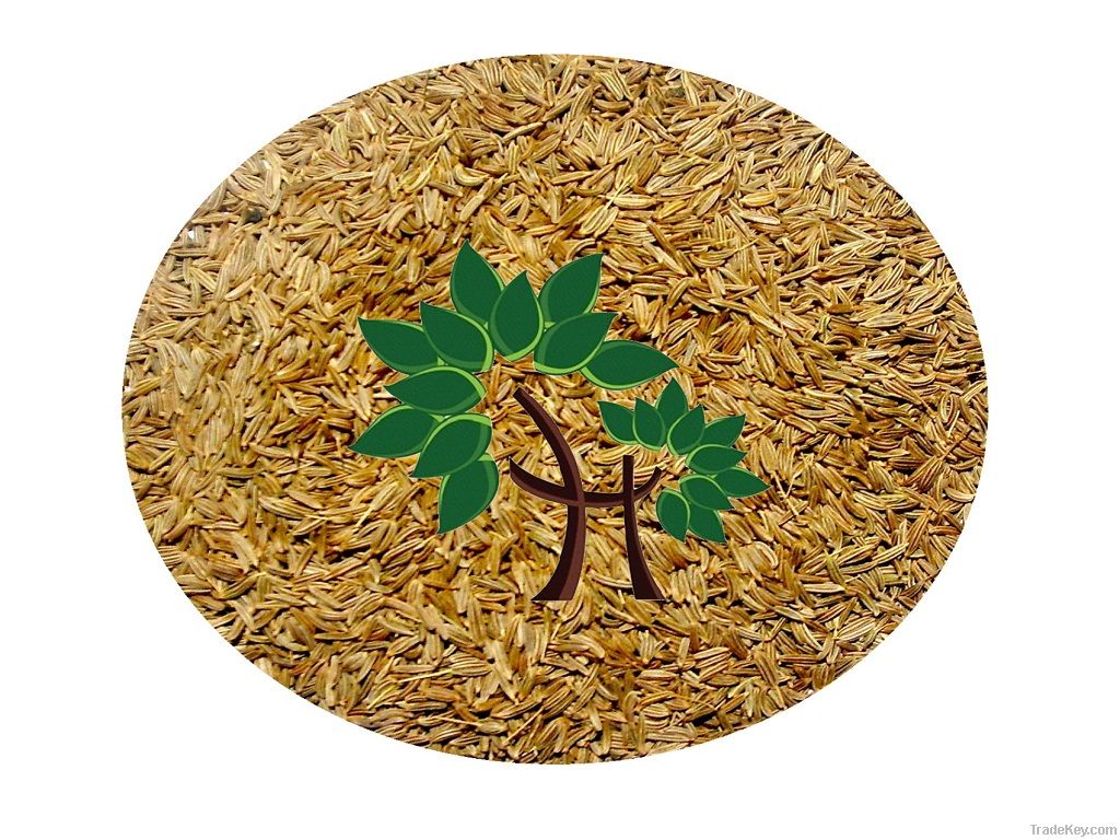 Caraway Seeds