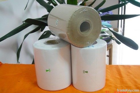 Hand Paper Towel Roll