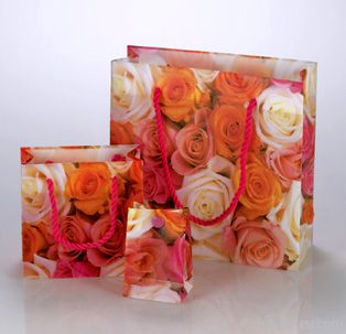 PP gift bags