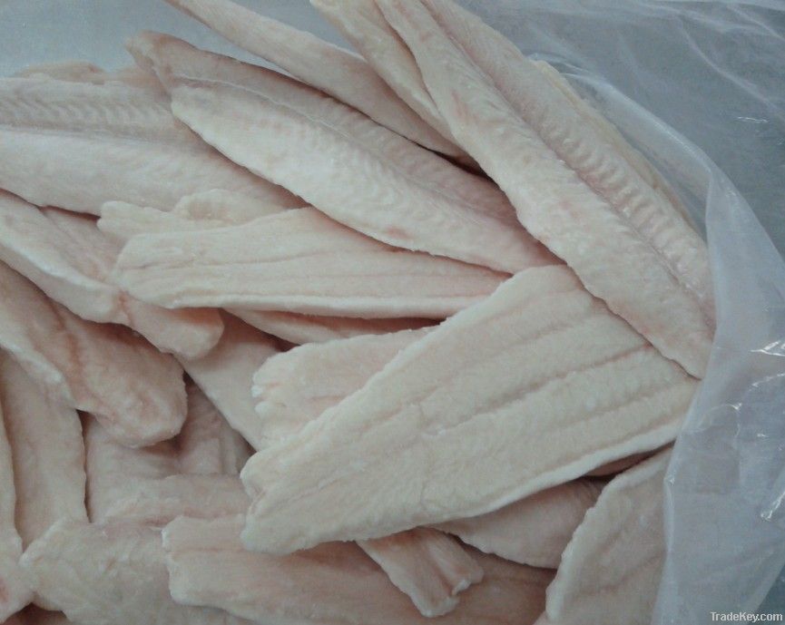 frozen BASA fillets