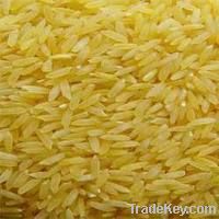 Gold Rice