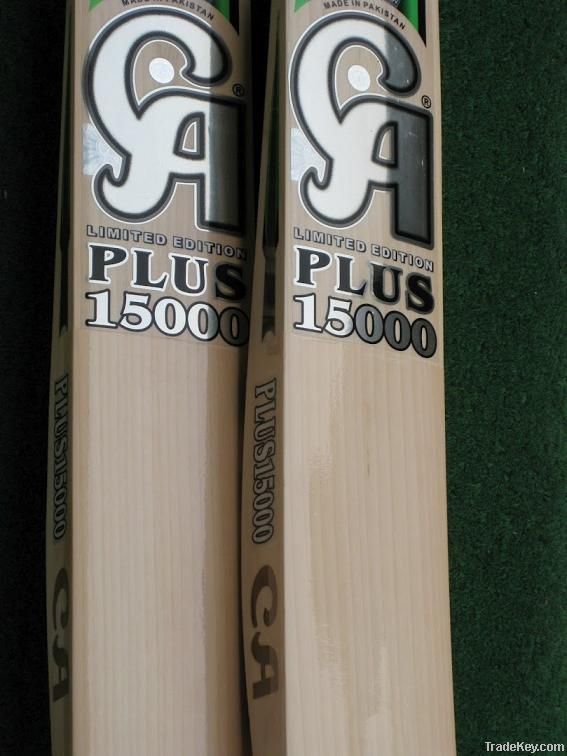 english willow cricket bat