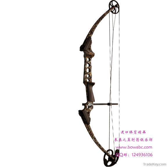 Hunting Cross Bow