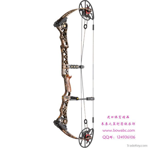 Bow / Archery Set