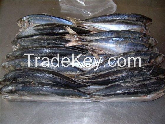 Frozen Seafood , Horse Mackerel, Salmon, Shrimp, Skipjack Tuna