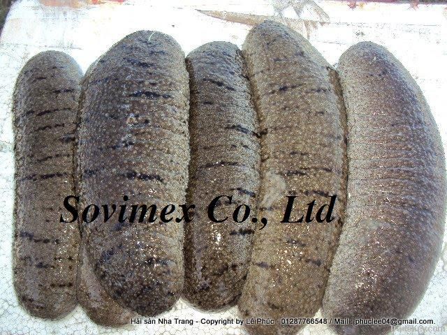 Dried sea cucumber