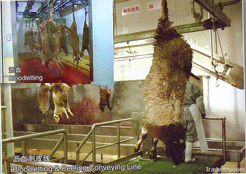 Muslim sheep slaughtering equipment