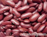 Organic Kidney Beans