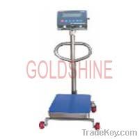 Weighing Equipments Floor Scale