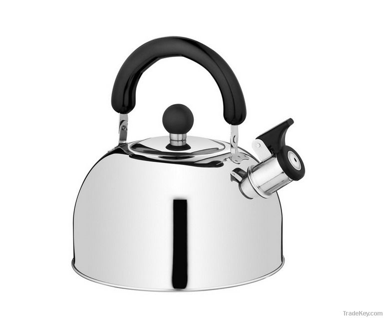 stainless steel tea kettle