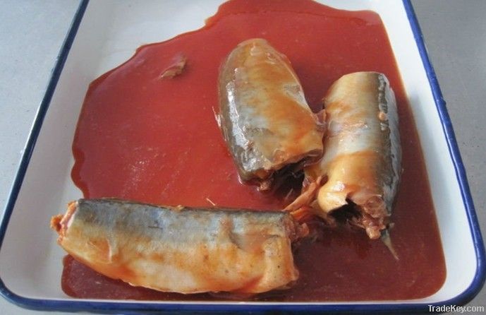 Canned Sardines in Tomato Sauce