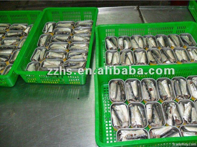 Canned Sardines in Oil