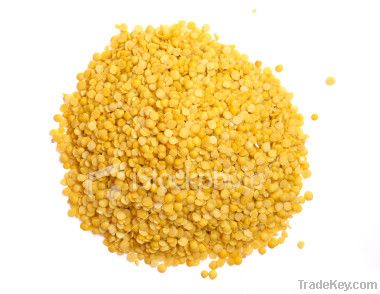 yellow lentil