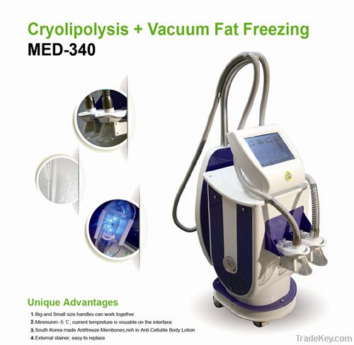 2012 Newest Cryolipolysis+Vacuum System /Weight Loss Beauty Machine